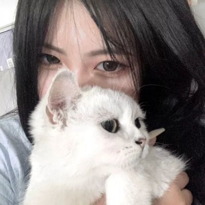 你来嘛英雄人人视频版下载