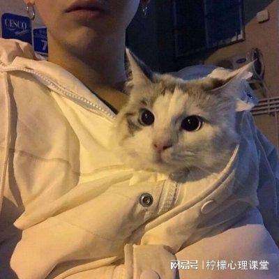 轮回手游最新版下载