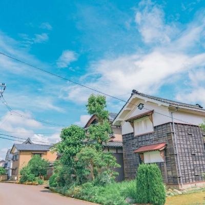 热血山鸡游戏